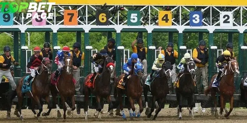 Đua ngựa Preakness là chặng đua thứ hai thuộc chuỗi Triple Crown danh giá tại Mỹ